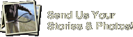 Send Us Your Stories